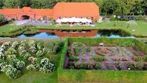 Lees meer over het artikel Plantentuin Merksplas (BE)
