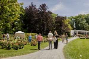 Lees meer over het artikel Het Vrijbroekpark (BE)