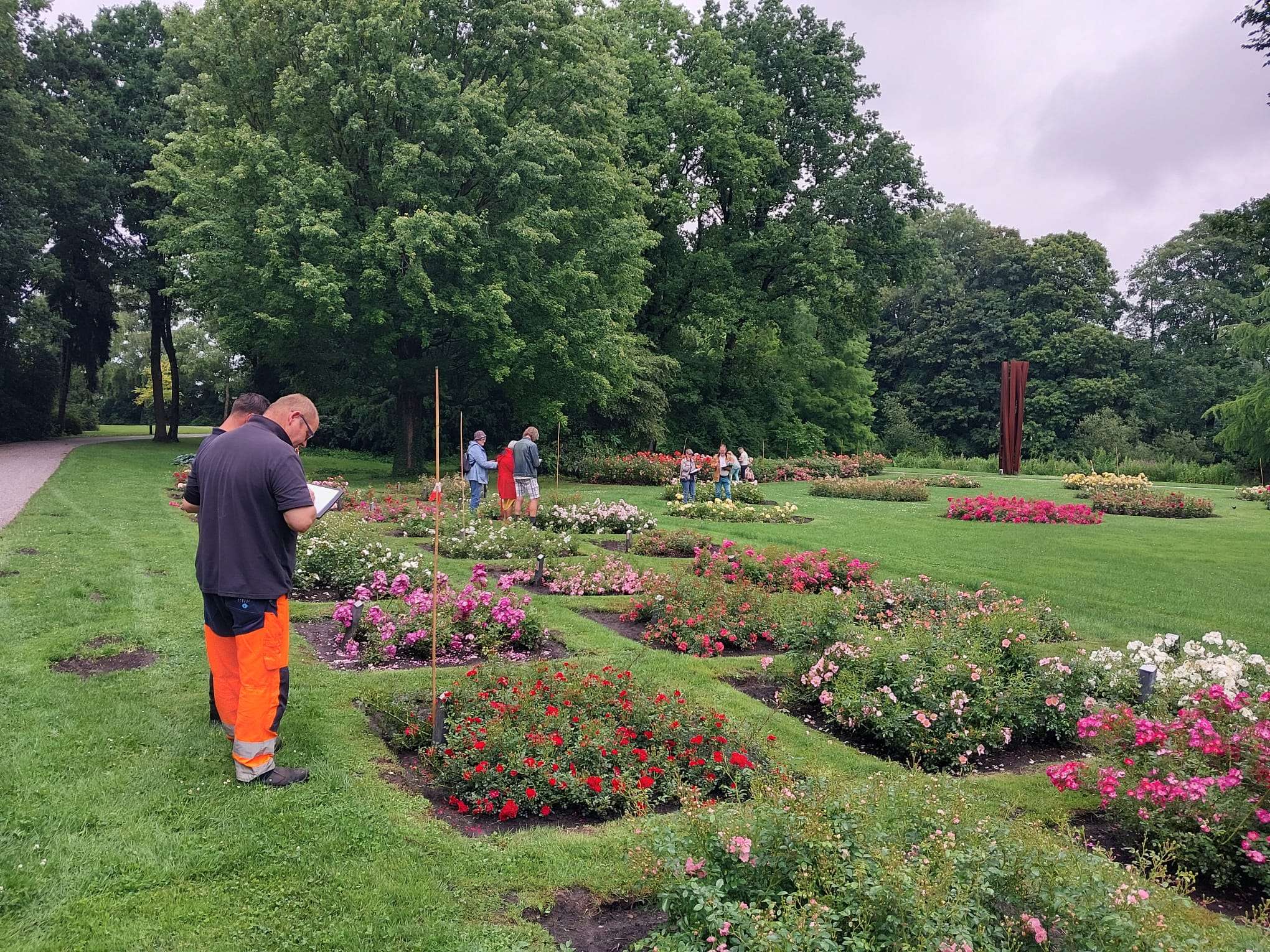 Lees meer over het artikel Rosarium Winschoten (NL)